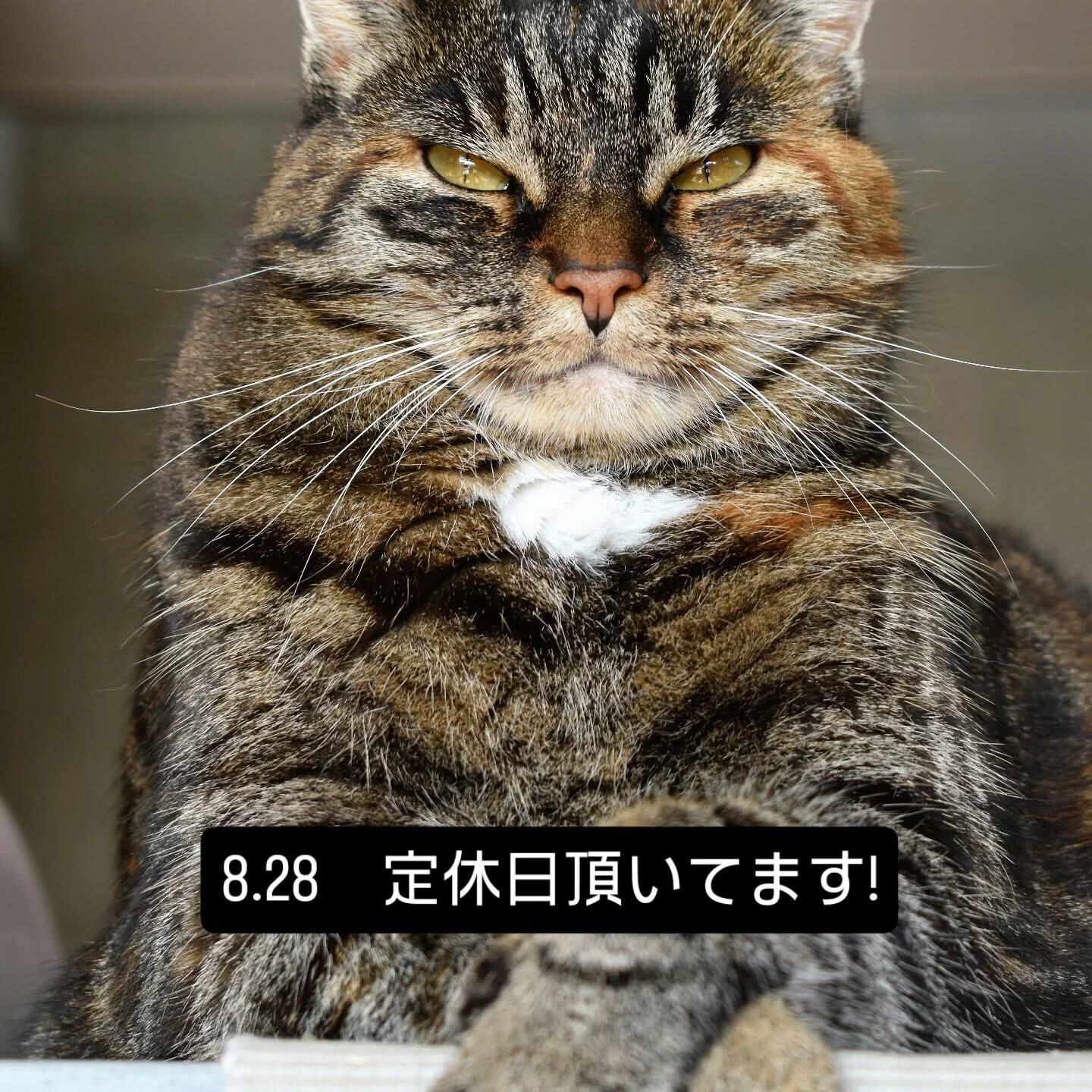 本日、定休日頂いてます!