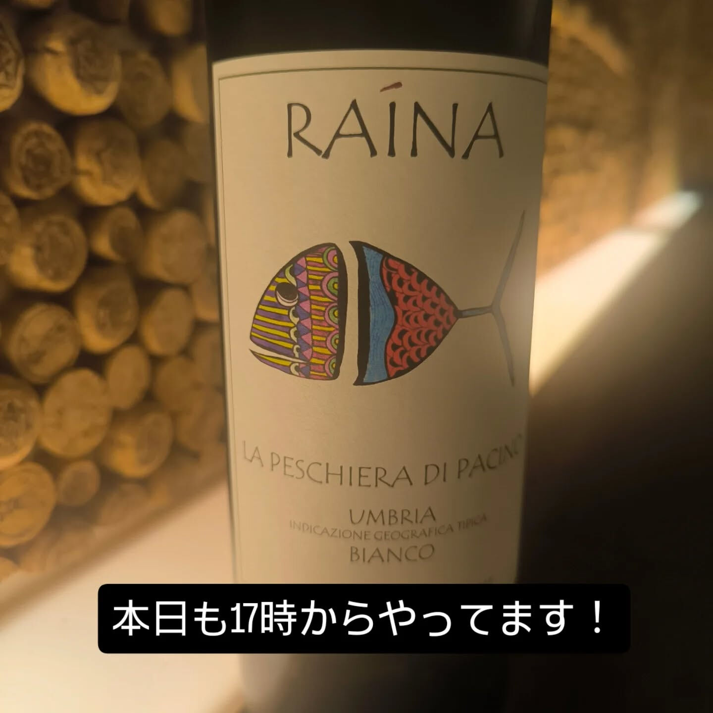 南イタリアのフルーティーで綺麗めなオレンジワイン