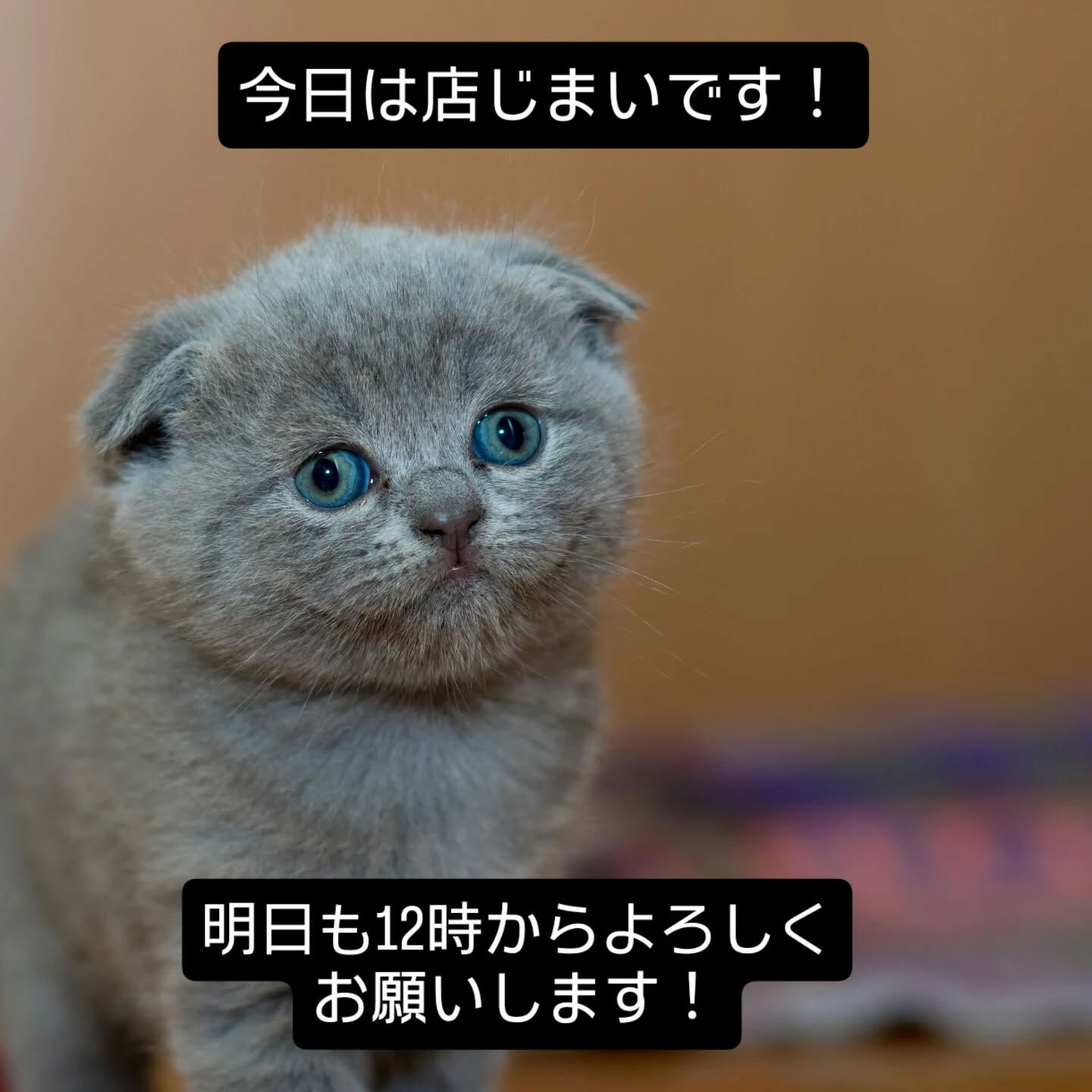 ちょうどお客様が帰られたので本日の営業終わります！