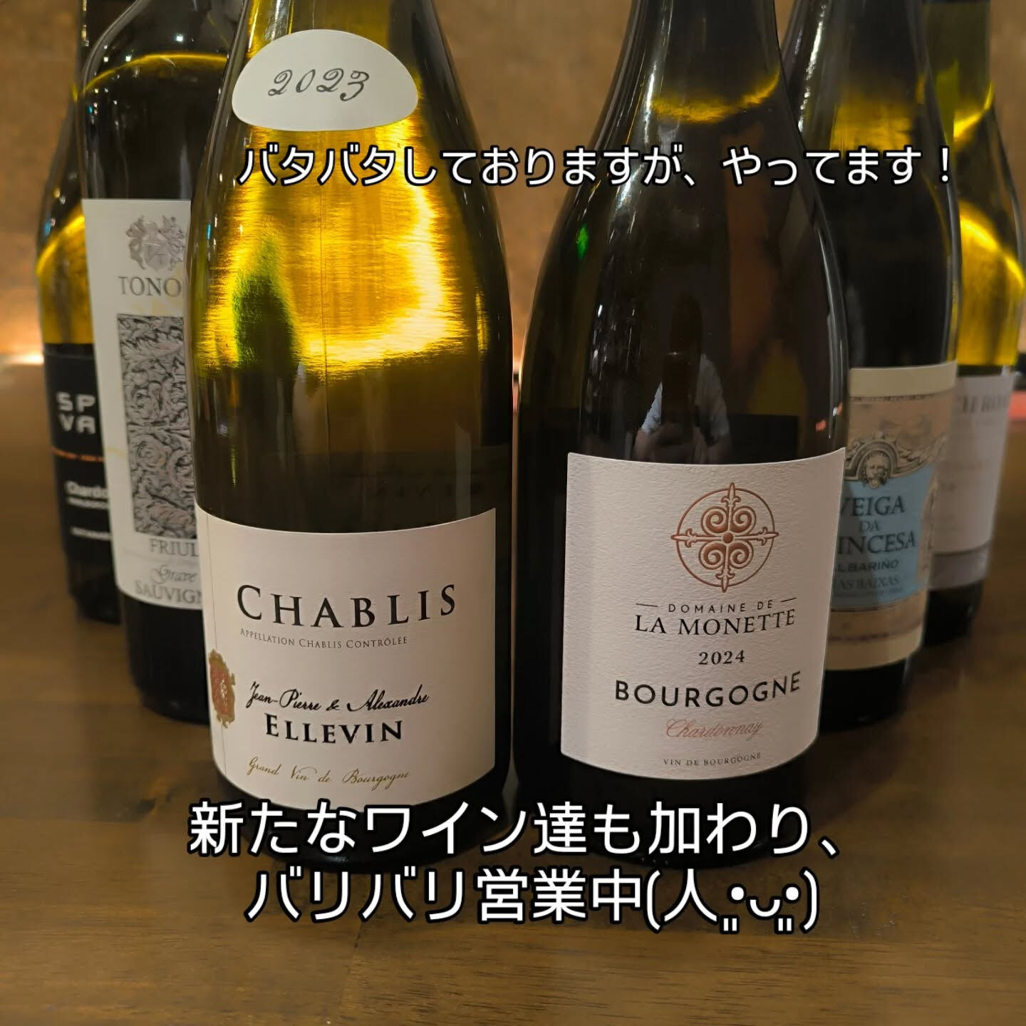 ゴールデンウィークもガンガン営業してます！